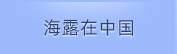 888集团电子游戏在中国