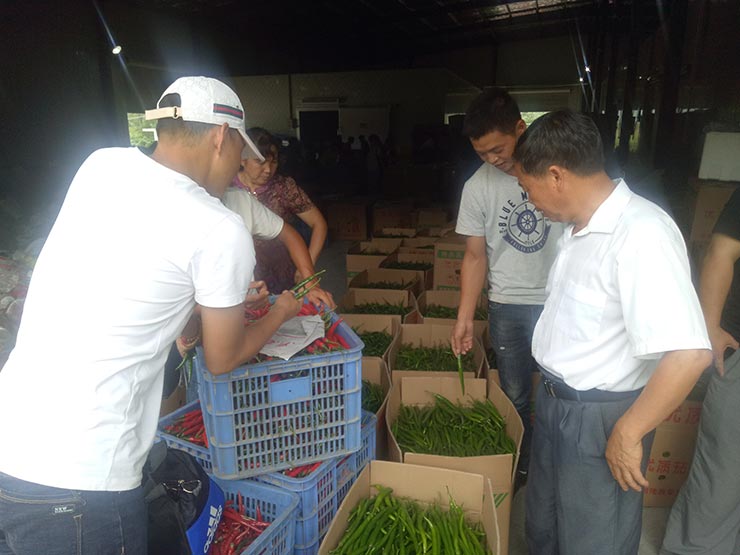 888集团电子游戏(中国游)有限公司官网