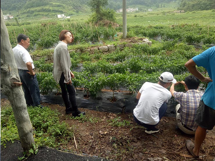 888集团电子游戏(中国游)有限公司官网