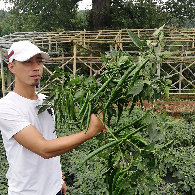 888集团电子游戏(中国游)有限公司官网