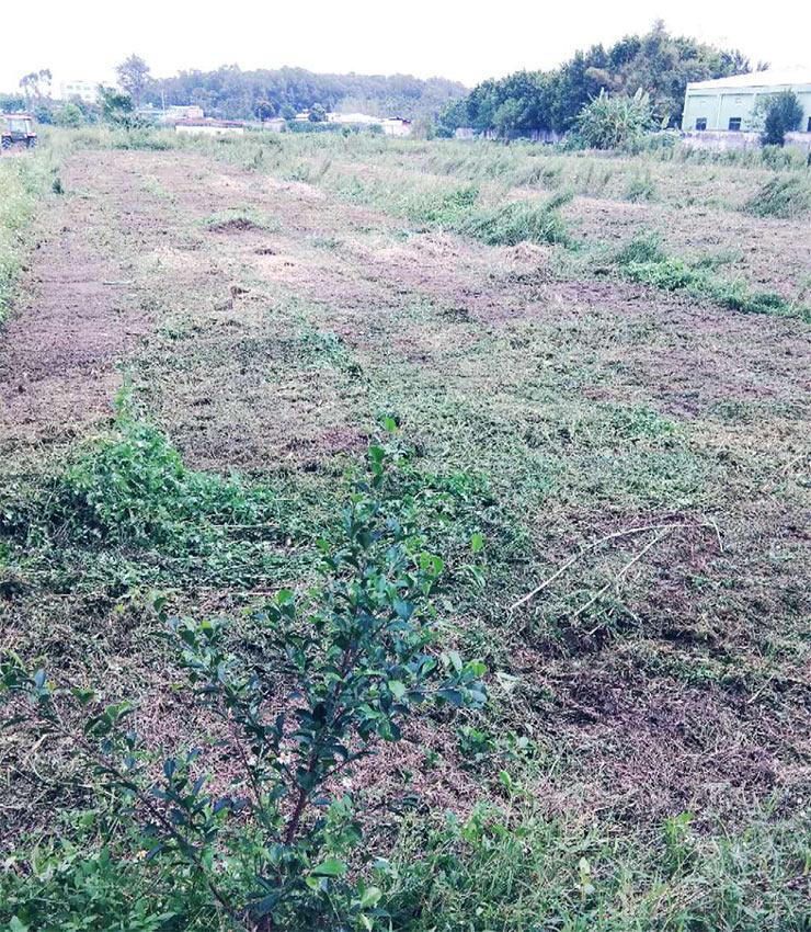 888集团电子游戏(中国游)有限公司官网