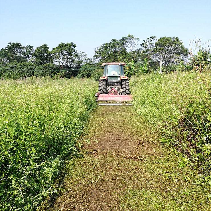 888集团电子游戏(中国游)有限公司官网