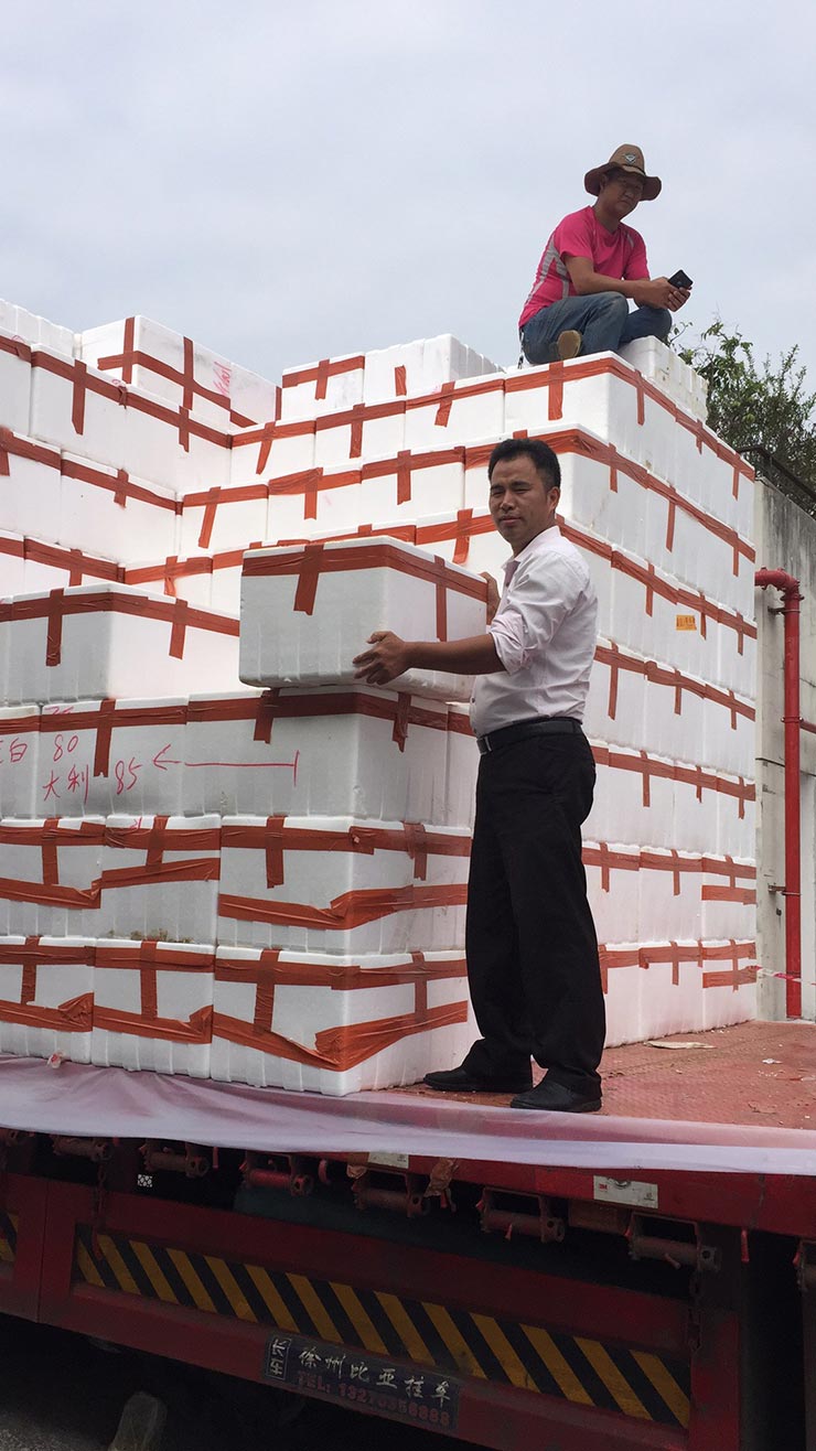 888集团电子游戏(中国游)有限公司官网