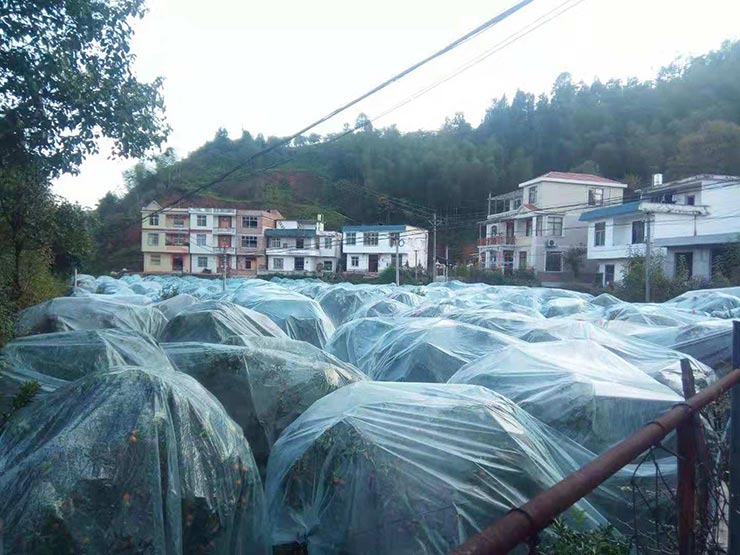 888集团电子游戏(中国游)有限公司官网