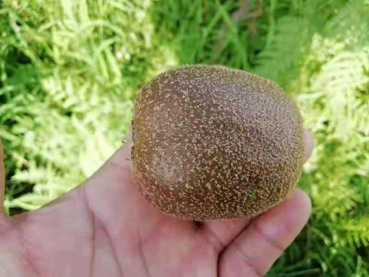 888集团电子游戏(中国游)有限公司官网