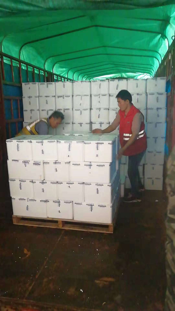 888集团电子游戏(中国游)有限公司官网