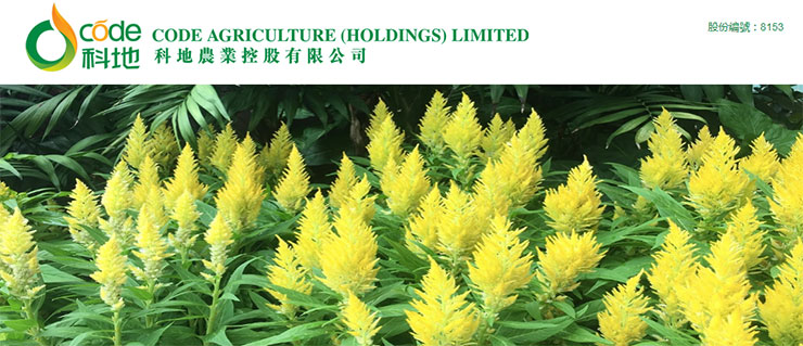 888集团电子游戏(中国游)有限公司官网