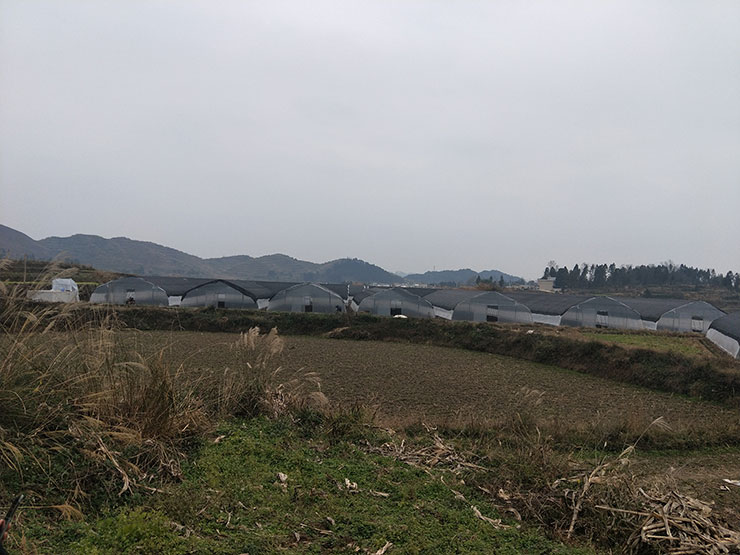 888集团电子游戏(中国游)有限公司官网