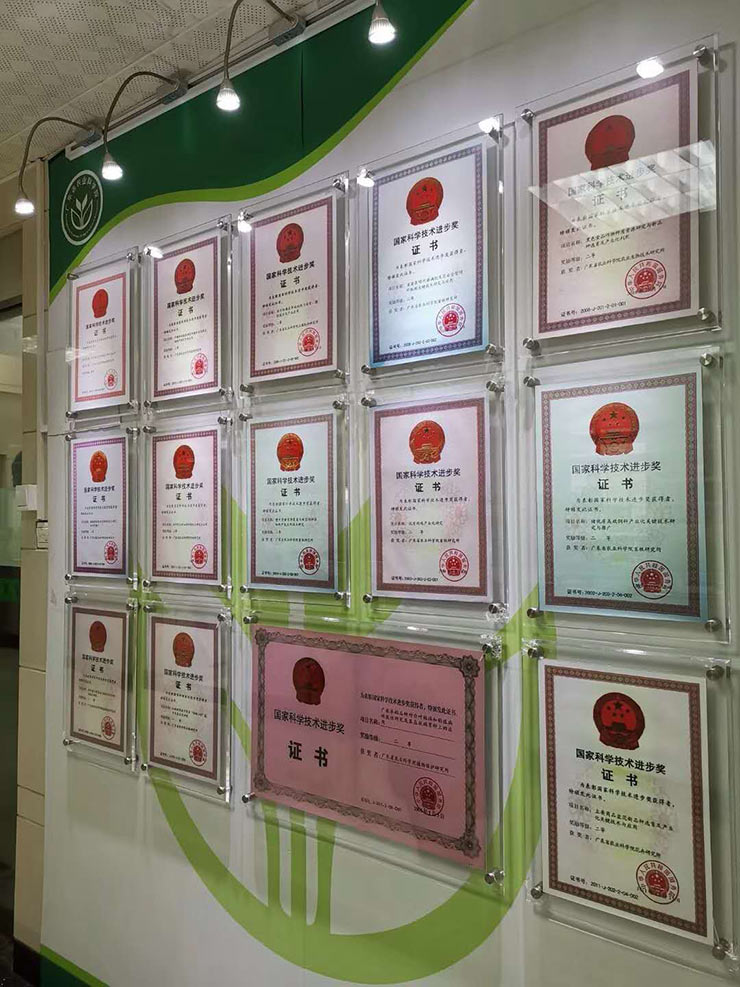 888集团电子游戏(中国游)有限公司官网