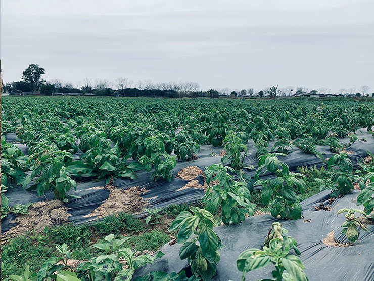 888集团电子游戏(中国游)有限公司官网