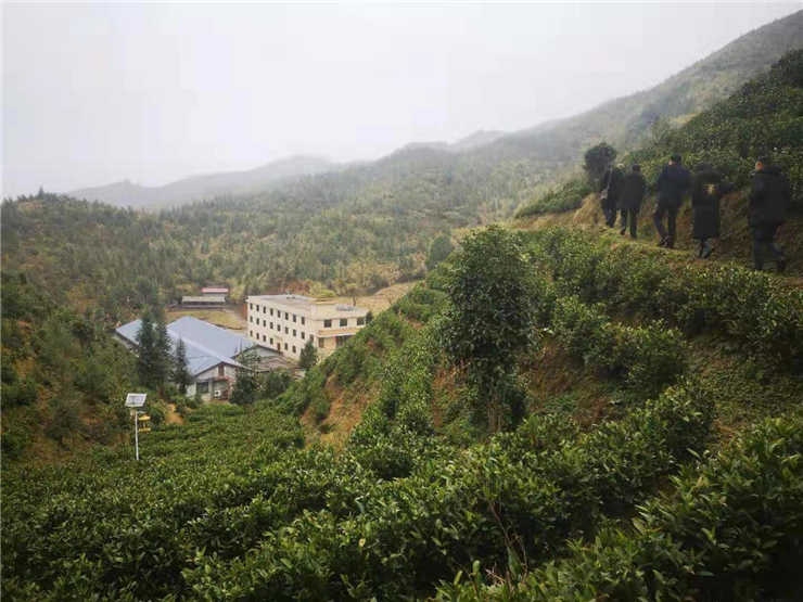 888集团电子游戏(中国游)有限公司官网