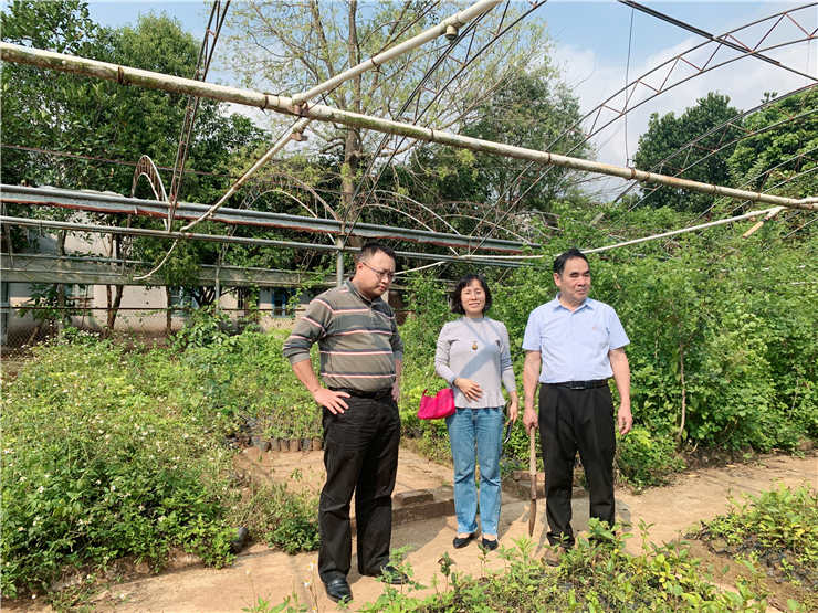 888集团电子游戏(中国游)有限公司官网