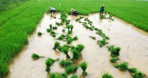 888集团电子游戏(中国游)有限公司官网