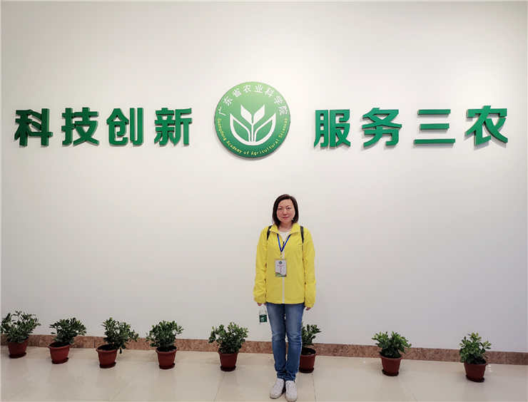 888集团电子游戏(中国游)有限公司官网