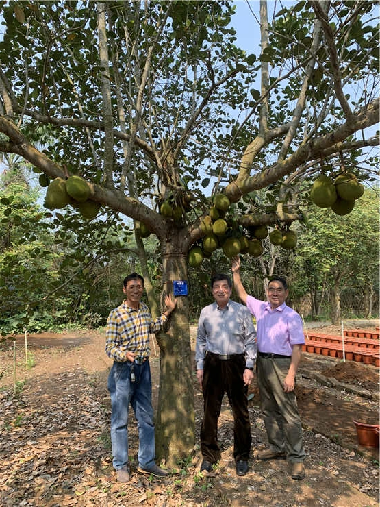 888集团电子游戏(中国游)有限公司官网