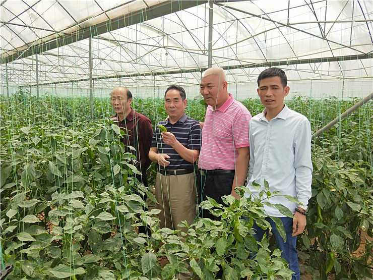 888集团电子游戏(中国游)有限公司官网