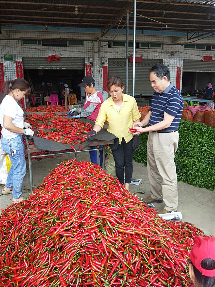 888集团电子游戏(中国游)有限公司官网