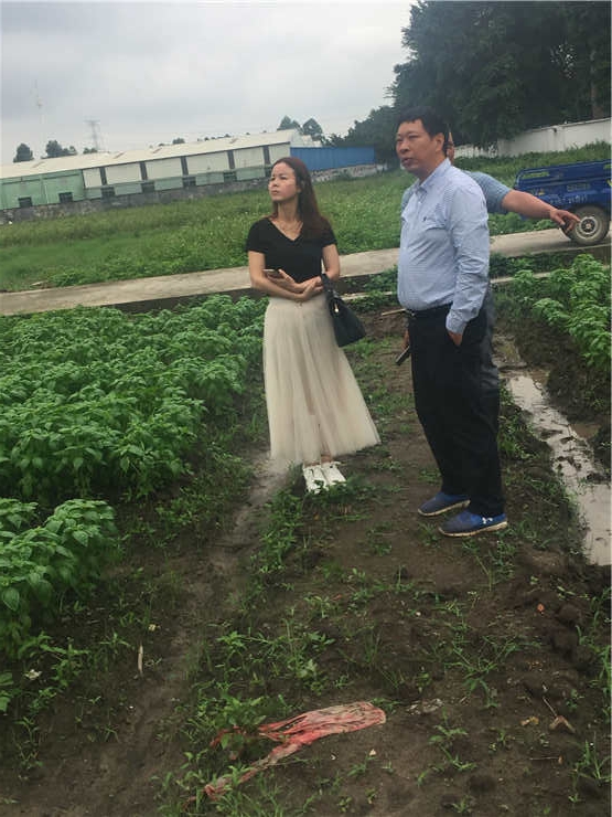 888集团电子游戏(中国游)有限公司官网