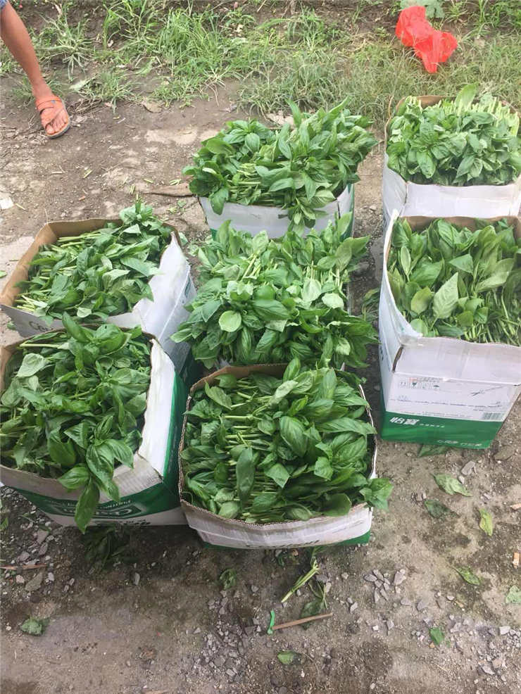 888集团电子游戏(中国游)有限公司官网