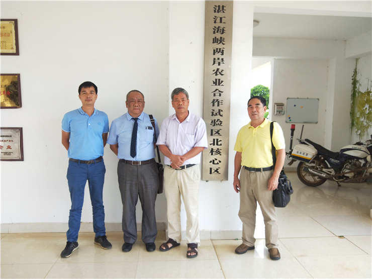 888集团电子游戏(中国游)有限公司官网