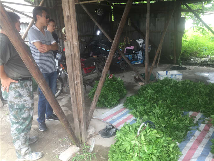 888集团电子游戏(中国游)有限公司官网