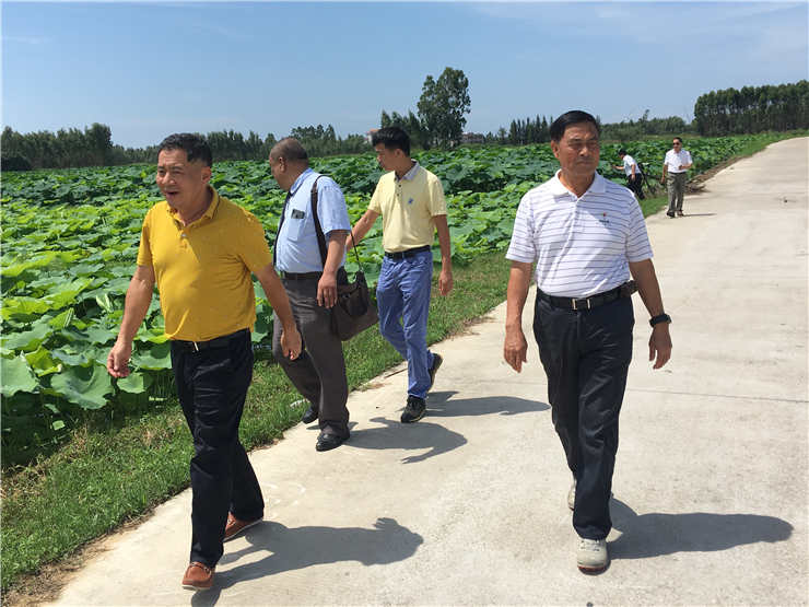 888集团电子游戏(中国游)有限公司官网