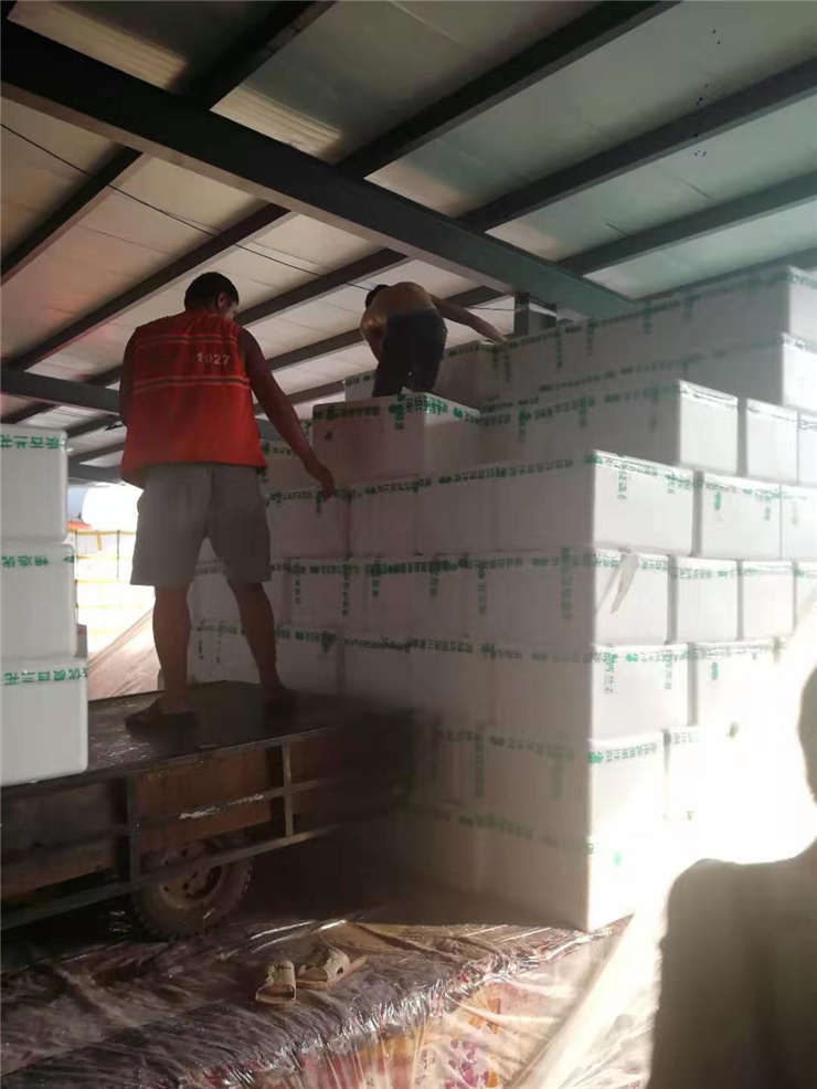 888集团电子游戏(中国游)有限公司官网