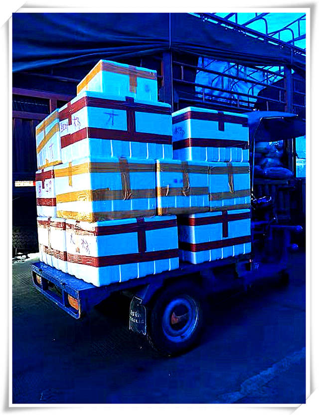 888集团电子游戏(中国游)有限公司官网