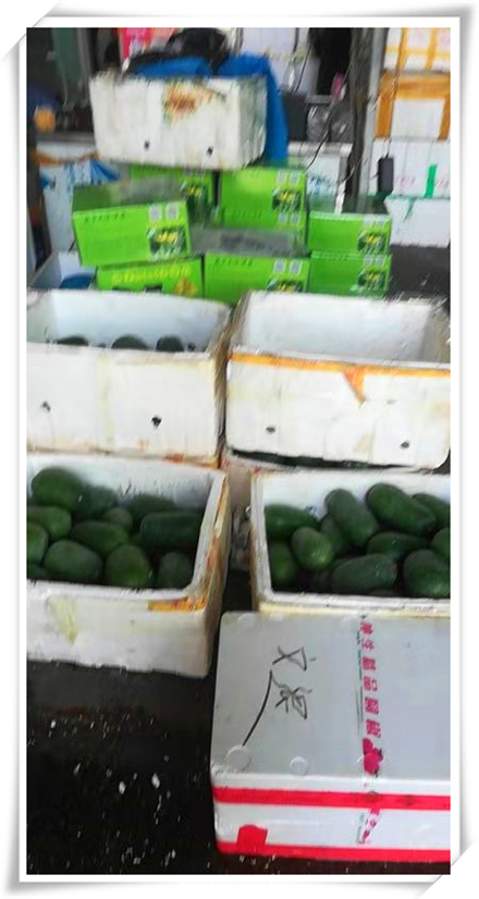 888集团电子游戏(中国游)有限公司官网