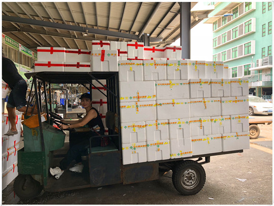 888集团电子游戏(中国游)有限公司官网