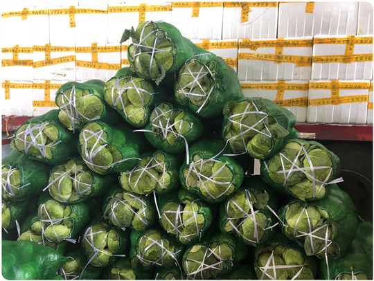 888集团电子游戏(中国游)有限公司官网