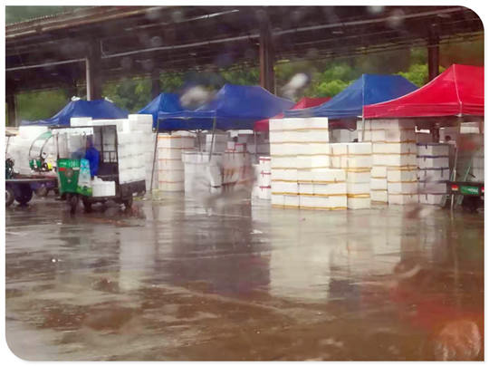 888集团电子游戏(中国游)有限公司官网