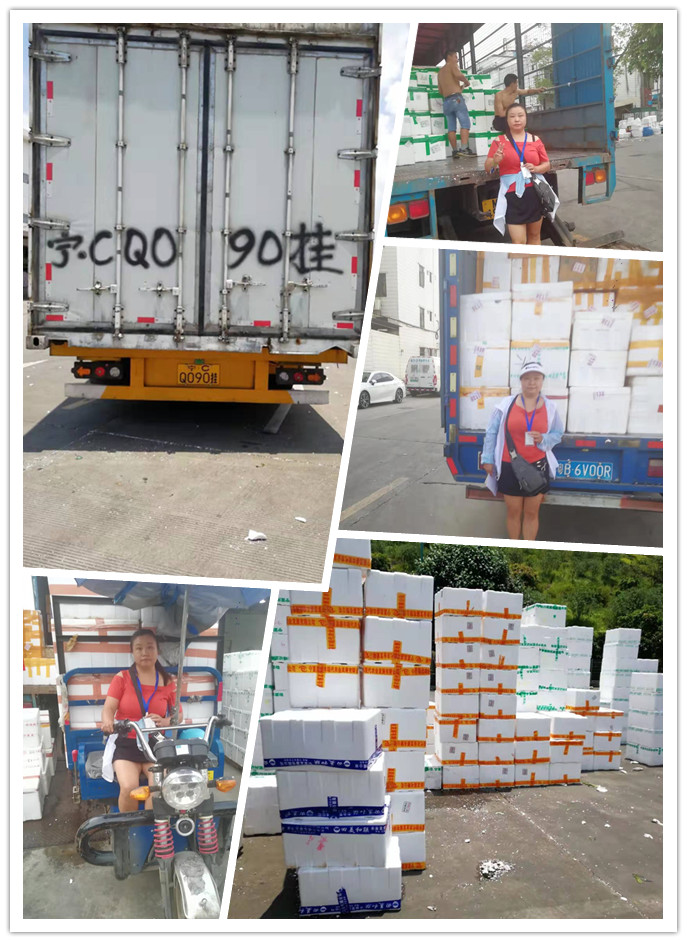 888集团电子游戏(中国游)有限公司官网