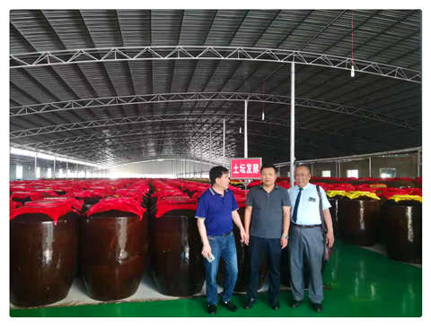 888集团电子游戏(中国游)有限公司官网