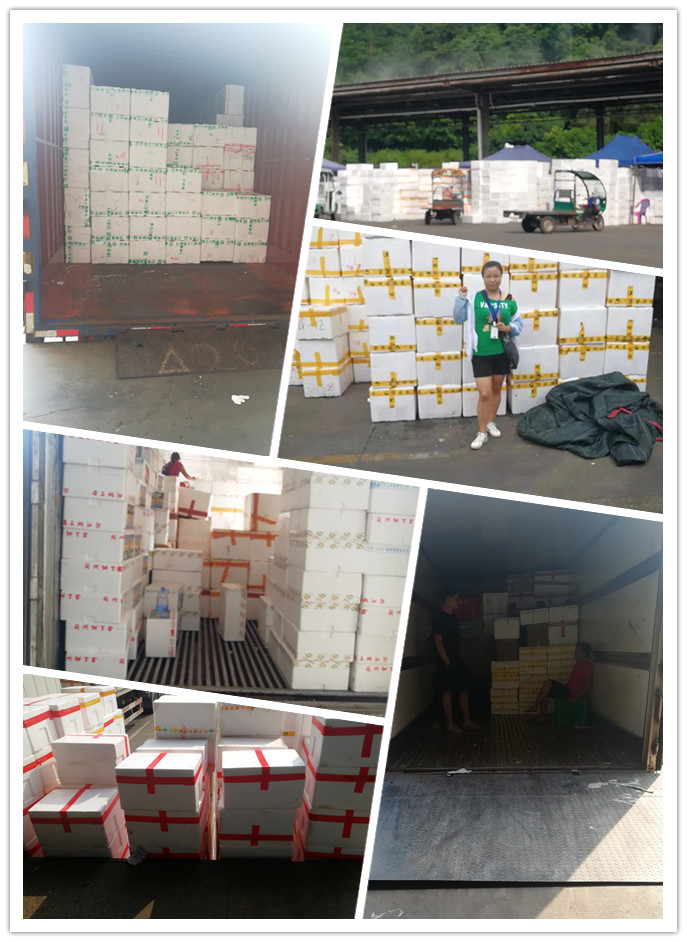 888集团电子游戏(中国游)有限公司官网