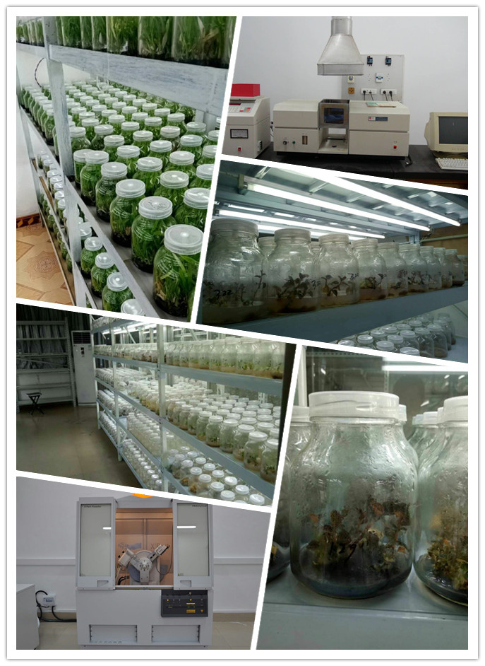 888集团电子游戏(中国游)有限公司官网