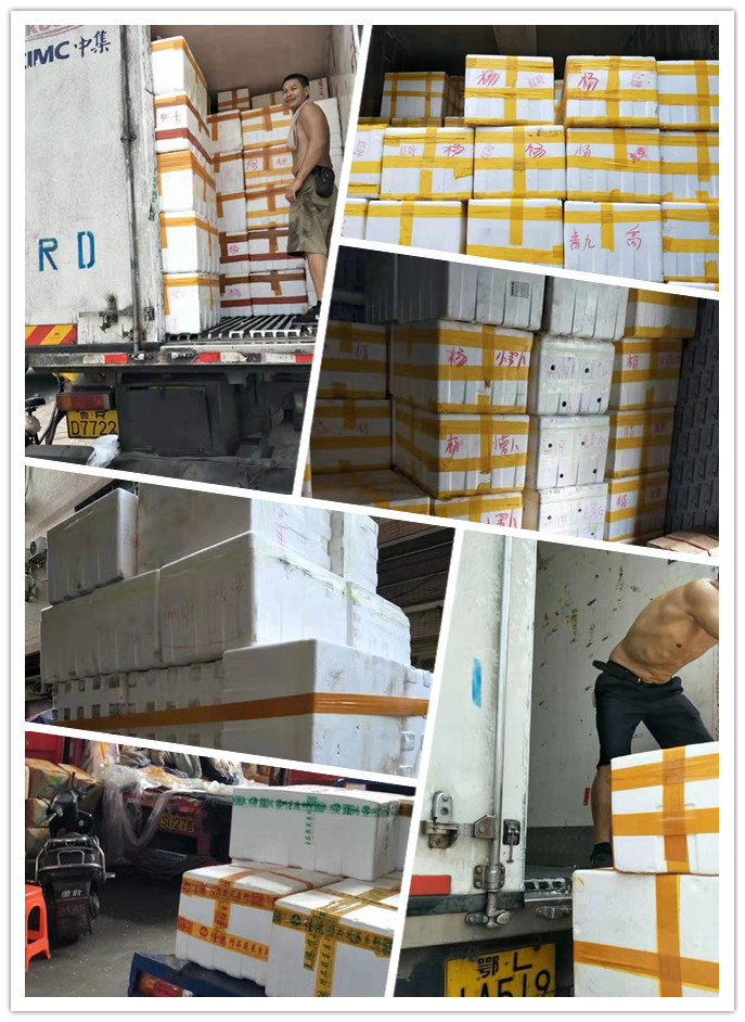 888集团电子游戏(中国游)有限公司官网