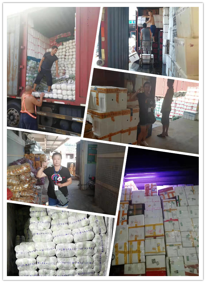 888集团电子游戏(中国游)有限公司官网