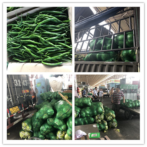 888集团电子游戏(中国游)有限公司官网