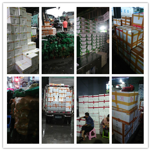 888集团电子游戏(中国游)有限公司官网