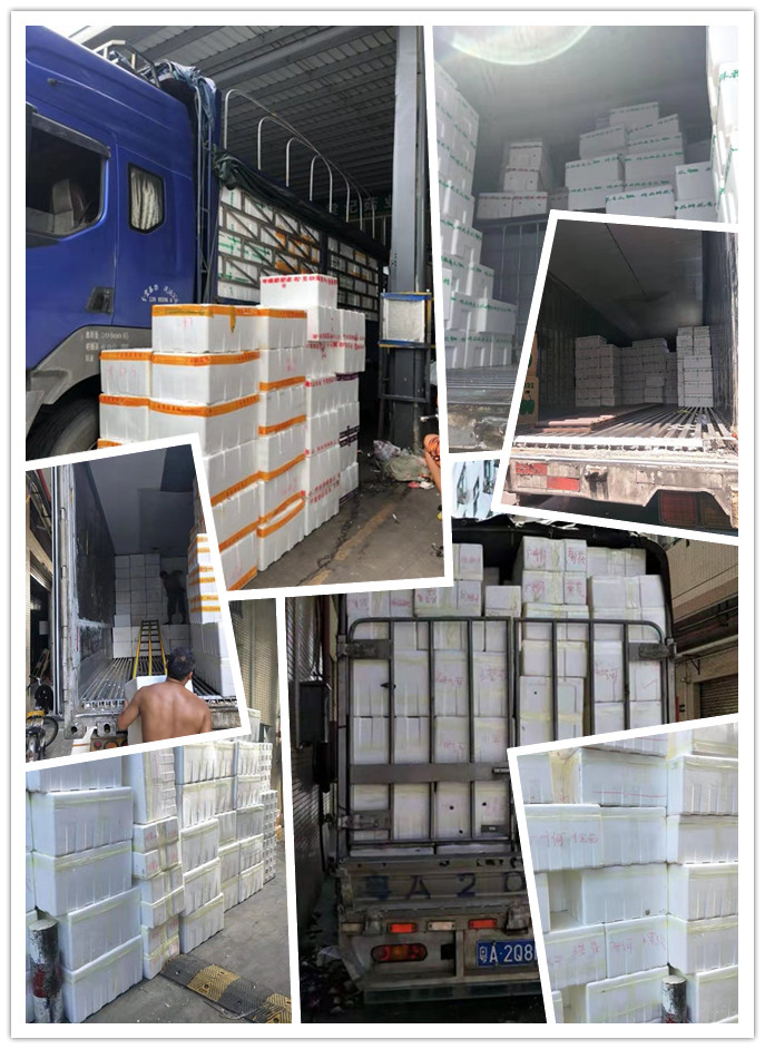 888集团电子游戏(中国游)有限公司官网