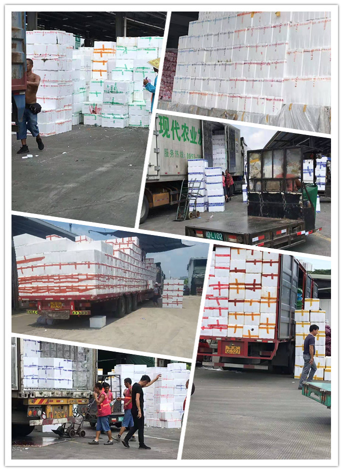 888集团电子游戏(中国游)有限公司官网