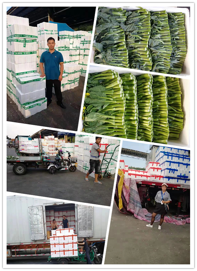 888集团电子游戏(中国游)有限公司官网