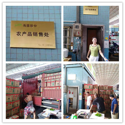 888集团电子游戏(中国游)有限公司官网