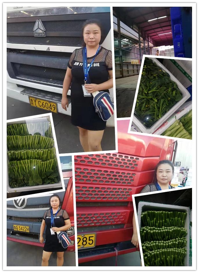 888集团电子游戏(中国游)有限公司官网