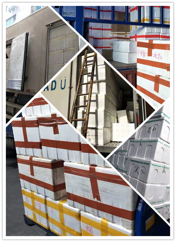 888集团电子游戏(中国游)有限公司官网