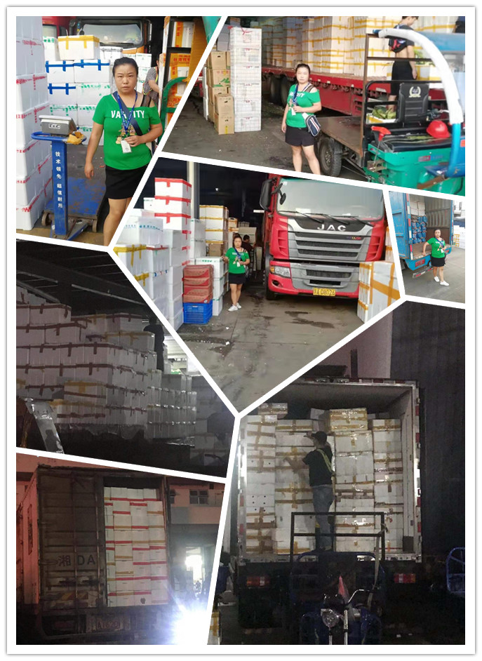 888集团电子游戏(中国游)有限公司官网