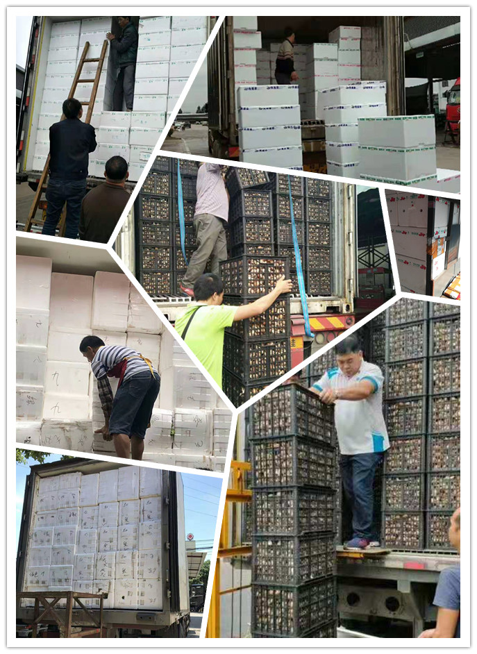 888集团电子游戏(中国游)有限公司官网