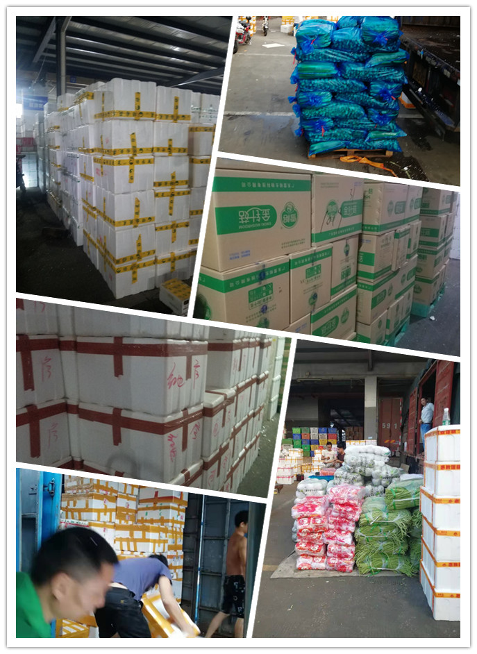 888集团电子游戏(中国游)有限公司官网