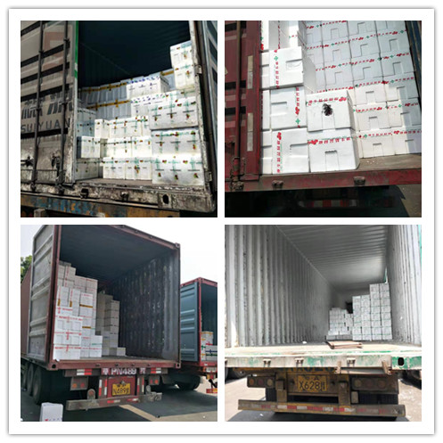 888集团电子游戏(中国游)有限公司官网